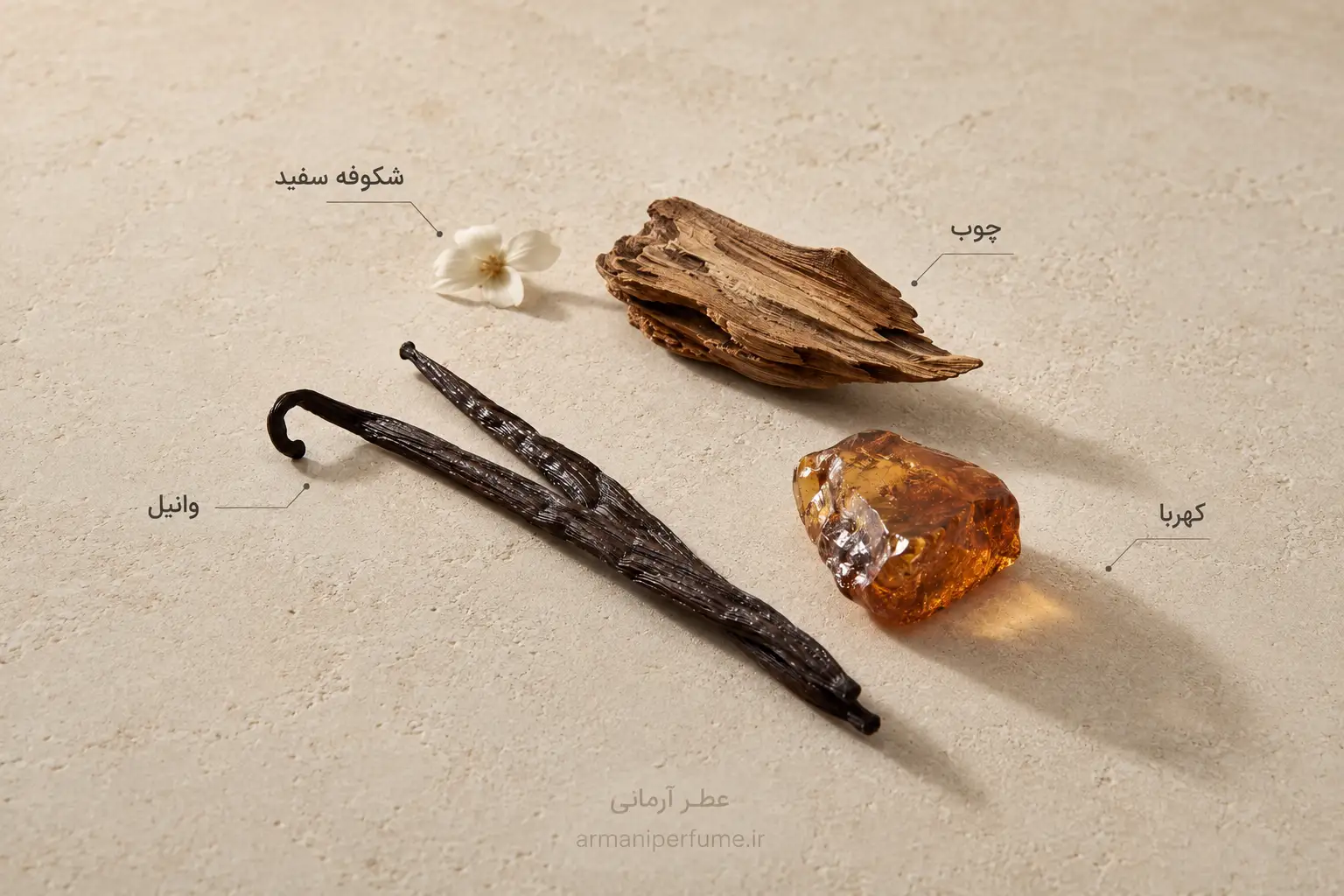 معرفی نت ها و خرید عطر گرمی مارلی آلتیر