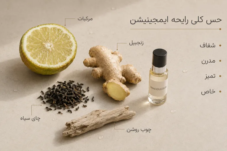 بررسی نت های غالب عطر خنک مردانه لویی ویتون ایمجینیشن