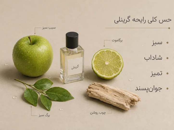 بررسی نت های غالب عطر خنک مردانه مارلی گرینلی