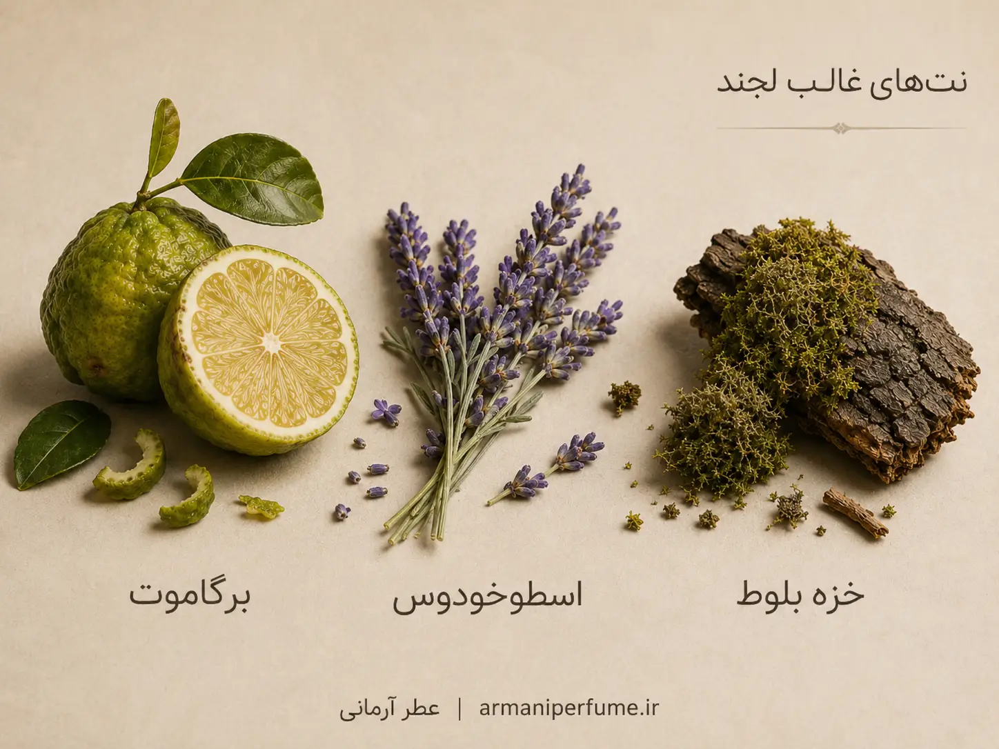 معرفی و خرید عطر گرمی لجند مونت بلانک