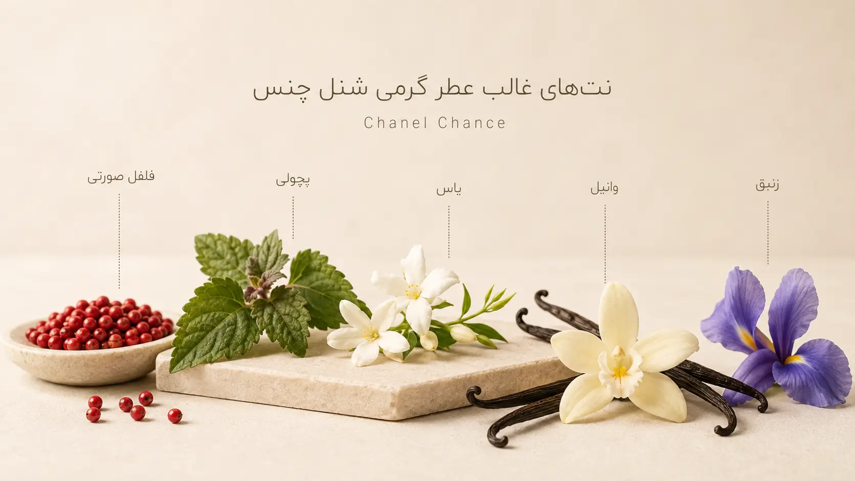 خرید عطر گرمی شنل چنس + معرفی نت و رایحه‌ها بصورت تخصصی